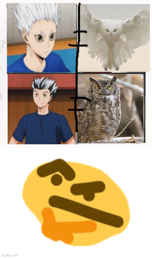 Hmmmmmm | image tagged in memes,the scroll of truth,haikyuu,dey look like owls,frosted tip owl | made w/ Imgflip meme maker
