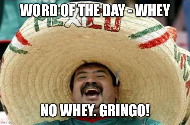 mexican word of the day | WORD OF THE DAY - WHEY NO WHEY. GRINGO! | image tagged in mexican word of the day | made w/ Imgflip meme maker