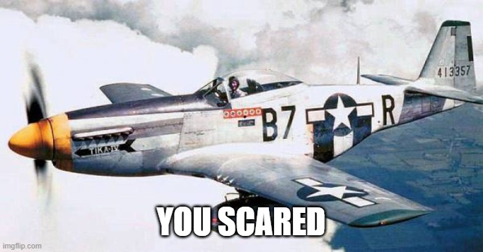 P-51 Mustang | YOU SCARED | image tagged in p-51 mustang | made w/ Imgflip meme maker