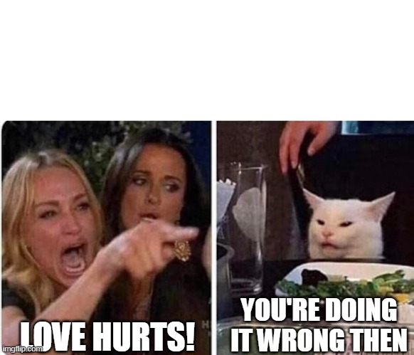 Smudge | YOU'RE DOING IT WRONG THEN; LOVE HURTS! | image tagged in lady screams at cat | made w/ Imgflip meme maker