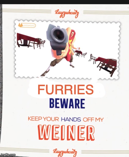 broads beware | FURRIES | image tagged in broads beware | made w/ Imgflip meme maker