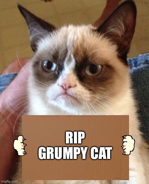 RIP Grumpy Cat | RIP GRUMPY CAT | image tagged in grumpy cat cardboard sign,sad cat | made w/ Imgflip meme maker