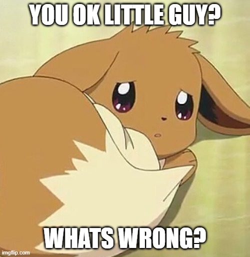 how i got my Eevee | YOU OK LITTLE GUY? WHATS WRONG? | image tagged in scared eevee | made w/ Imgflip meme maker