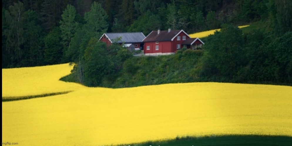 image tagged in awesome | made w/ Imgflip meme maker