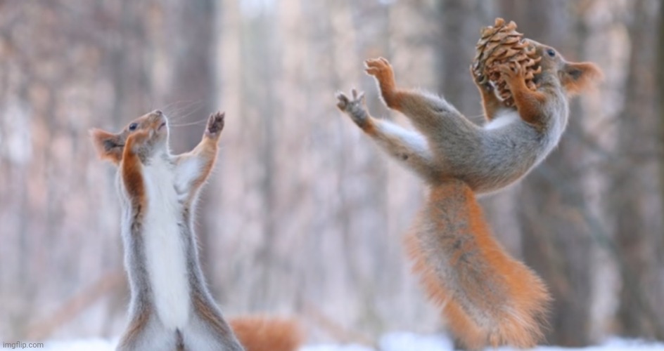 image tagged in awesome | made w/ Imgflip meme maker