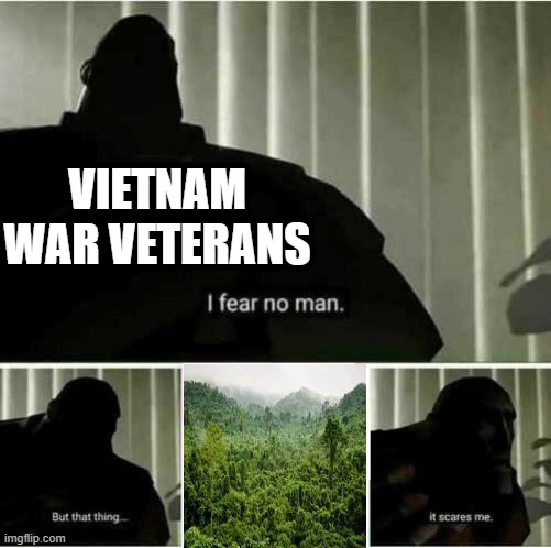 TREES GALORE | VIETNAM WAR VETERANS | image tagged in i fear no man | made w/ Imgflip meme maker