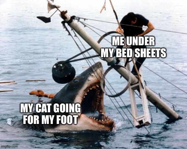 It always happens | image tagged in cats | made w/ Imgflip meme maker