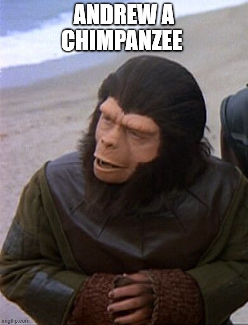 Andrew | ANDREW A CHIMPANZEE | image tagged in andrew | made w/ Imgflip meme maker