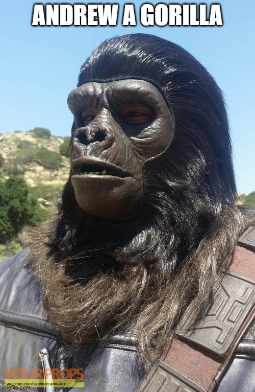 Andrew | ANDREW A GORILLA | image tagged in andrew taylor | made w/ Imgflip meme maker