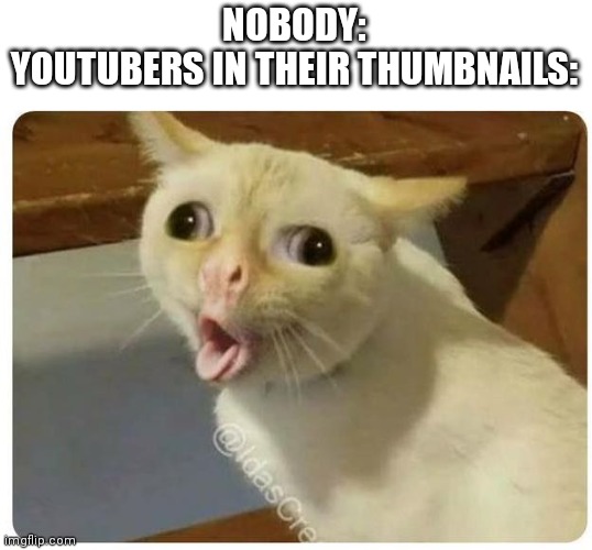 Kids cough | NOBODY:
YOUTUBERS IN THEIR THUMBNAILS: | image tagged in cat | made w/ Imgflip meme maker