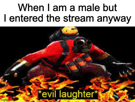 Idk if this will be disapproved but you can disapprove it if you want | When I am a male but I entered the stream anyway | image tagged in evil laughter | made w/ Imgflip meme maker