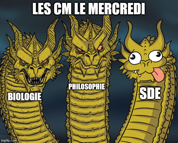 Three-headed Dragon | LES CM LE MERCREDI; PHILOSOPHIE; SDE; BIOLOGIE | image tagged in three-headed dragon | made w/ Imgflip meme maker