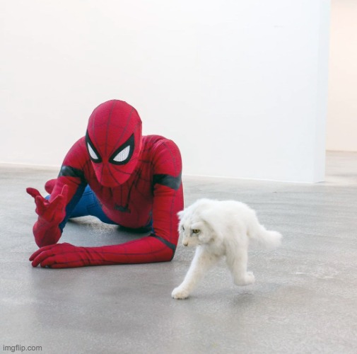 Spiderman vs Half cat | image tagged in half cat vs spiderman | made w/ Imgflip meme maker