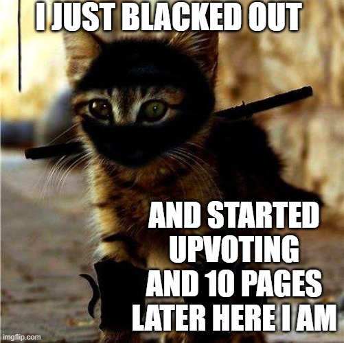 Ninja Upvote | I JUST BLACKED OUT; AND STARTED UPVOTING AND 10 PAGES LATER HERE I AM | image tagged in ninja cat,memes,funny,funny memes,cats | made w/ Imgflip meme maker