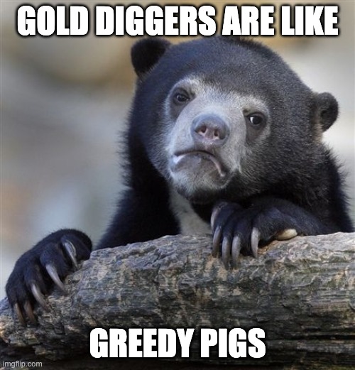 Gold diggers are like greedy pigs | GOLD DIGGERS ARE LIKE; GREEDY PIGS | image tagged in memes,confession bear | made w/ Imgflip meme maker