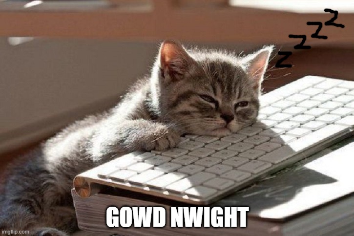 just sleepy | GOWD NWIGHT | image tagged in too tired,memes,sleepy,cats,dog,not really a dog | made w/ Imgflip meme maker