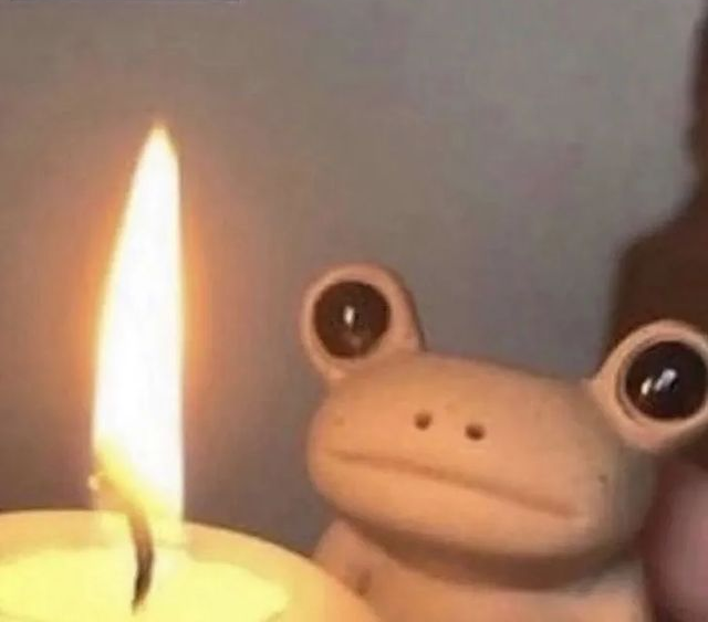 Frog Candle astonished amazed Blank Meme Template