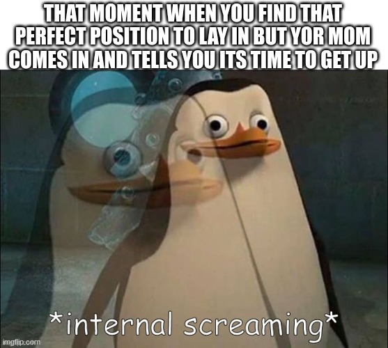 this relatable | THAT MOMENT WHEN YOU FIND THAT PERFECT POSITION TO LAY IN BUT YOR MOM COMES IN AND TELLS YOU ITS TIME TO GET UP | image tagged in private internal screaming | made w/ Imgflip meme maker