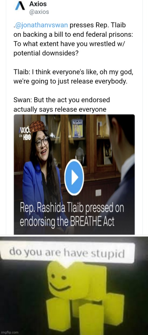 Representative Rashida Tlaib: dumber than a freakin' hammer! | image tagged in do you are have stupid,rashida tlaib,stupid liberals,idiot,release of convicts | made w/ Imgflip meme maker