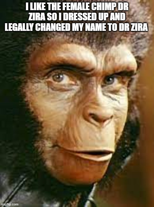 Zira | I LIKE THE FEMALE CHIMP DR ZIRA SO I DRESSED UP AND LEGALLY CHANGED MY NAME TO DR ZIRA | image tagged in formally andrew taylor now dr zira,furry | made w/ Imgflip meme maker