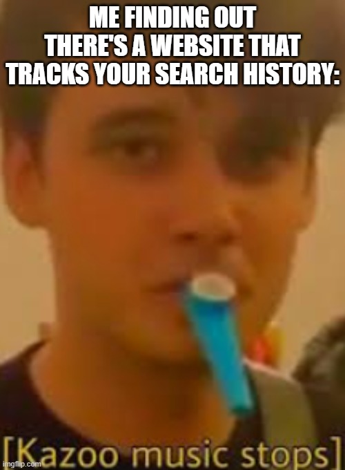 why u actin sus | ME FINDING OUT THERE'S A WEBSITE THAT TRACKS YOUR SEARCH HISTORY: | image tagged in kazoo music stops | made w/ Imgflip meme maker
