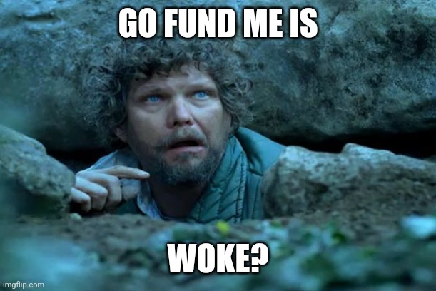 Under a Rock | GO FUND ME IS; WOKE? | image tagged in under a rock | made w/ Imgflip meme maker