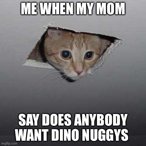 Ceiling Cat | ME WHEN MY MOM; SAY DOES ANYBODY WANT DINO NUGGYS | image tagged in memes,ceiling cat | made w/ Imgflip meme maker
