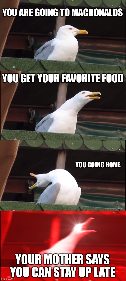 Memes | YOU ARE GOING TO MACDONALDS; YOU GET YOUR FAVORITE FOOD; YOU GOING HOME; YOUR MOTHER SAYS YOU CAN STAY UP LATE | image tagged in memes,inhaling seagull | made w/ Imgflip meme maker