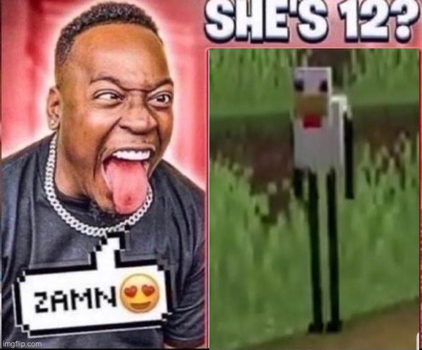 Memes | image tagged in zamn she's 12,memes,funny,minecraft,chicken,cats | made w/ Imgflip meme maker