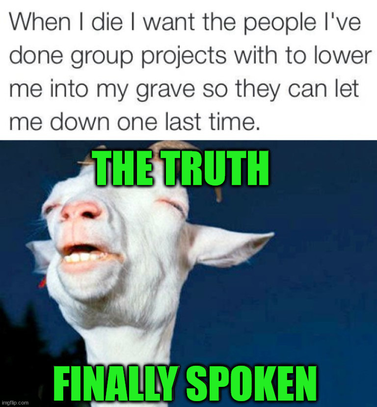 When you work with people in Group Projects, it sucks! |  THE TRUTH; FINALLY SPOKEN | image tagged in group projects,let down,school,high school | made w/ Imgflip meme maker