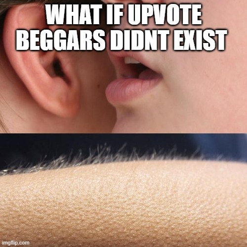 true | WHAT IF UPVOTE BEGGARS DIDNT EXIST | image tagged in whisper and goosebumps | made w/ Imgflip meme maker