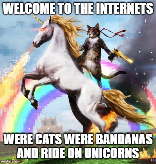 Welcome To The Internets | WELCOME TO THE INTERNETS; WERE CATS WERE BANDANAS AND RIDE ON UNICORNS | image tagged in memes,welcome to the internets | made w/ Imgflip meme maker