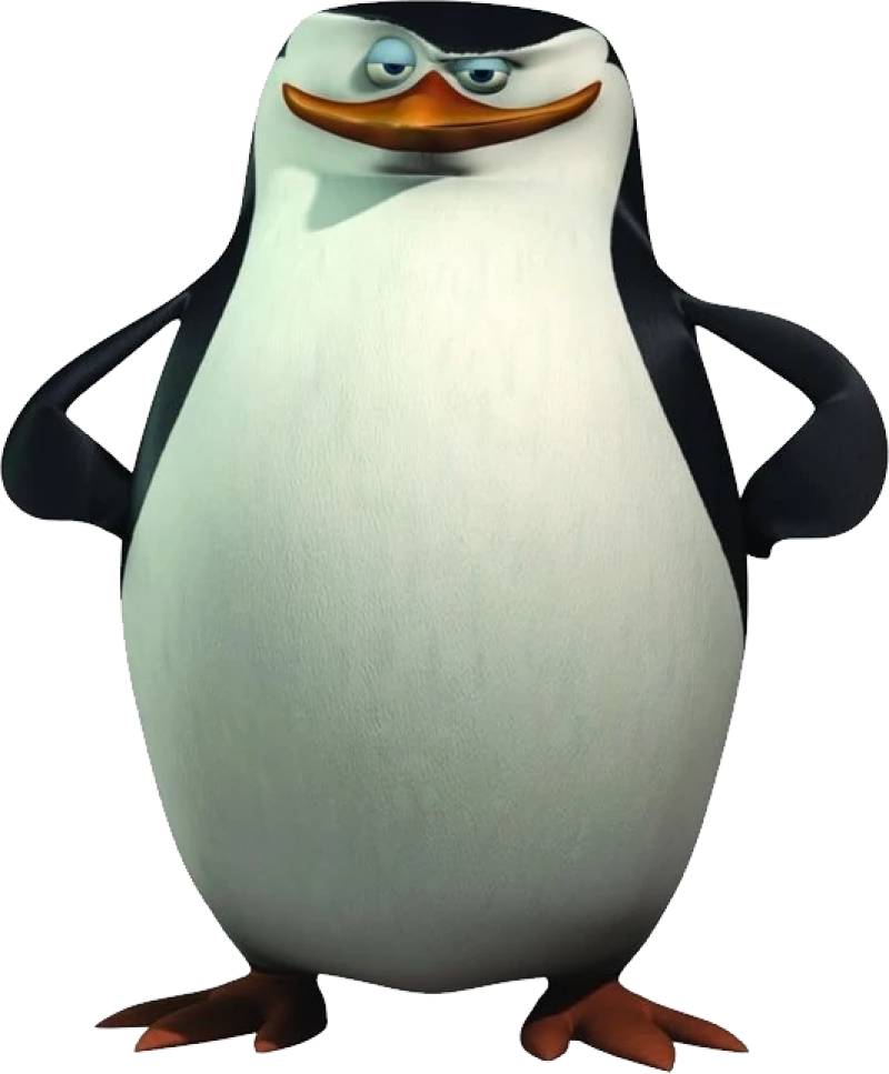 High Quality Skipper Penguin Blank Meme Template
