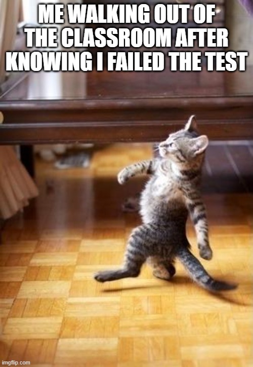 r/meirl | ME WALKING OUT OF THE CLASSROOM AFTER KNOWING I FAILED THE TEST | image tagged in memes,cool cat stroll | made w/ Imgflip meme maker