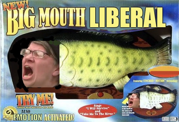 Big Mouth Libby | LIBERAL; EMOTION | image tagged in memes,funny memes,screaming liberal,leftists,democrats,political meme | made w/ Imgflip meme maker