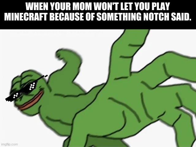 falcon punch | WHEN YOUR MOM WON'T LET YOU PLAY MINECRAFT BECAUSE OF SOMETHING NOTCH SAID. | image tagged in pepe punch | made w/ Imgflip meme maker