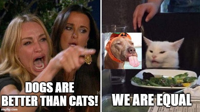 we are equal | DOGS ARE BETTER THAN CATS! WE ARE EQUAL | image tagged in angry lady cat | made w/ Imgflip meme maker