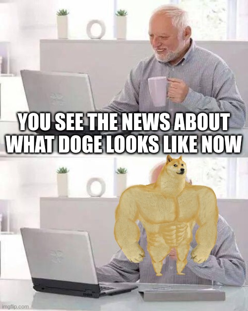 Hide the Pain Harold | YOU SEE THE NEWS ABOUT WHAT DOGE LOOKS LIKE NOW | image tagged in memes,hide the pain harold | made w/ Imgflip meme maker