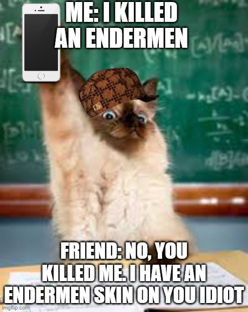 Raised hand cat | ME: I KILLED AN ENDERMEN; FRIEND: NO, YOU KILLED ME. I HAVE AN ENDERMEN SKIN ON YOU IDIOT | image tagged in raised hand cat | made w/ Imgflip meme maker