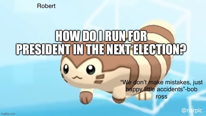 I honestly don’t know | HOW DO I RUN FOR PRESIDENT IN THE NEXT ELECTION? | image tagged in rob s furret announcement temp | made w/ Imgflip meme maker