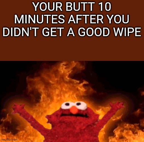 It burns | YOUR BUTT 10 MINUTES AFTER YOU DIDN'T GET A GOOD WIPE | image tagged in elmo fire | made w/ Imgflip meme maker