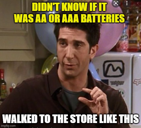 battery experience | DIDN'T KNOW IF IT WAS AA OR AAA BATTERIES; WALKED TO THE STORE LIKE THIS | image tagged in ross pinch | made w/ Imgflip meme maker