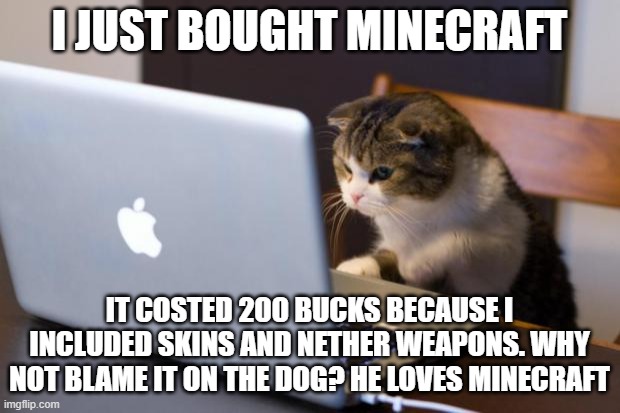 200 bucks of Minecraft?! |  I JUST BOUGHT MINECRAFT; IT COSTED 200 BUCKS BECAUSE I INCLUDED SKINS AND NETHER WEAPONS. WHY NOT BLAME IT ON THE DOG? HE LOVES MINECRAFT | image tagged in cat using computer,minecraft | made w/ Imgflip meme maker