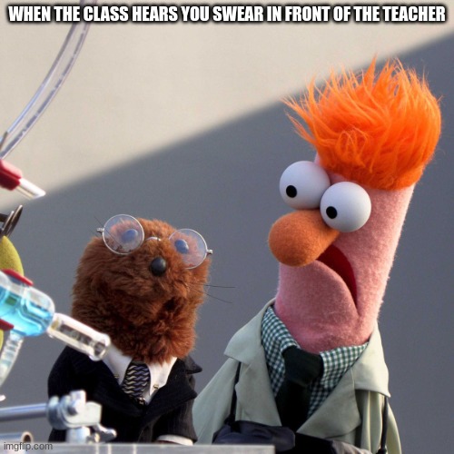 muppet lookin ahh |  WHEN THE CLASS HEARS YOU SWEAR IN FRONT OF THE TEACHER | image tagged in muppet lookin ahh | made w/ Imgflip meme maker