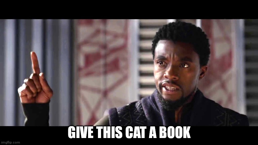 give this man a shield | GIVE THIS CAT A BOOK | image tagged in give this man a shield | made w/ Imgflip meme maker