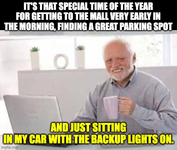 Most wonderful time | IT'S THAT SPECIAL TIME OF THE YEAR FOR GETTING TO THE MALL VERY EARLY IN THE MORNING, FINDING A GREAT PARKING SPOT; AND JUST SITTING IN MY CAR WITH THE BACKUP LIGHTS ON. | image tagged in harold | made w/ Imgflip meme maker