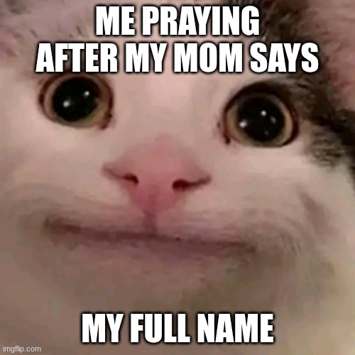 Beluga | ME PRAYING AFTER MY MOM SAYS; MY FULL NAME | image tagged in beluga | made w/ Imgflip meme maker