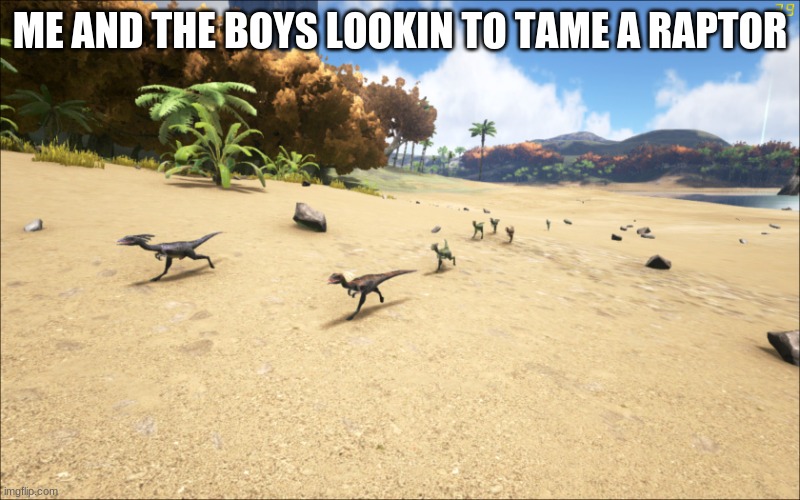 Ark survival evolved | ME AND THE BOYS LOOKIN TO TAME A RAPTOR | image tagged in ark survival evolved | made w/ Imgflip meme maker