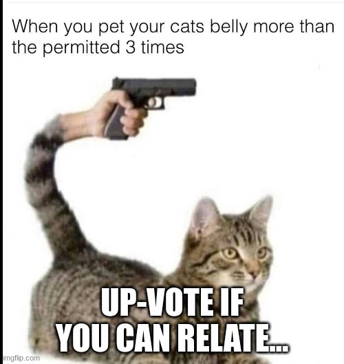Cat meme | UP-VOTE IF YOU CAN RELATE... | image tagged in cat,so true meme | made w/ Imgflip meme maker