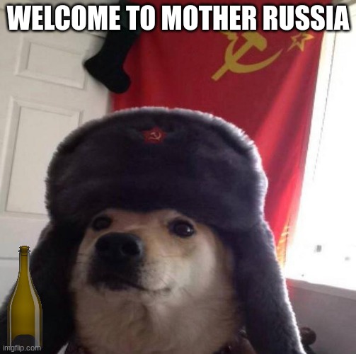 Russian Doge | WELCOME TO MOTHER RUSSIA | image tagged in russian doge | made w/ Imgflip meme maker